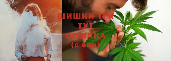 гашик Богородск